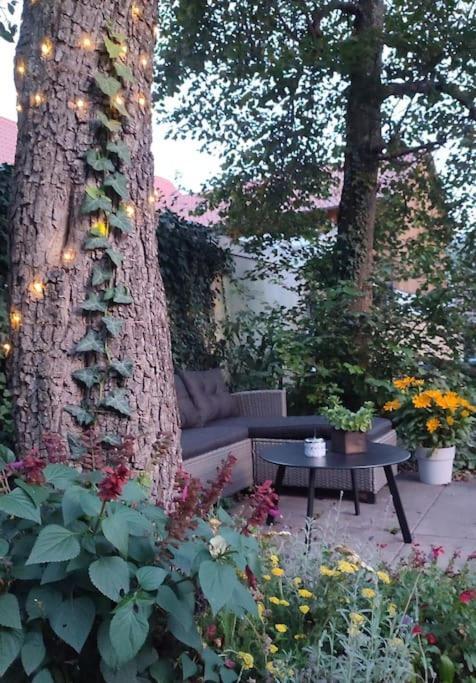 Apartamento Stilvoll Und Gemuetlich - Wohnen Mit Flair Albstadt Exterior foto