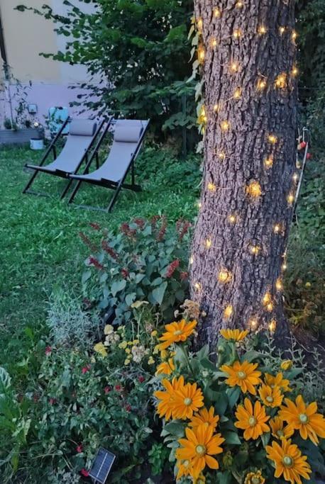 Apartamento Stilvoll Und Gemuetlich - Wohnen Mit Flair Albstadt Exterior foto